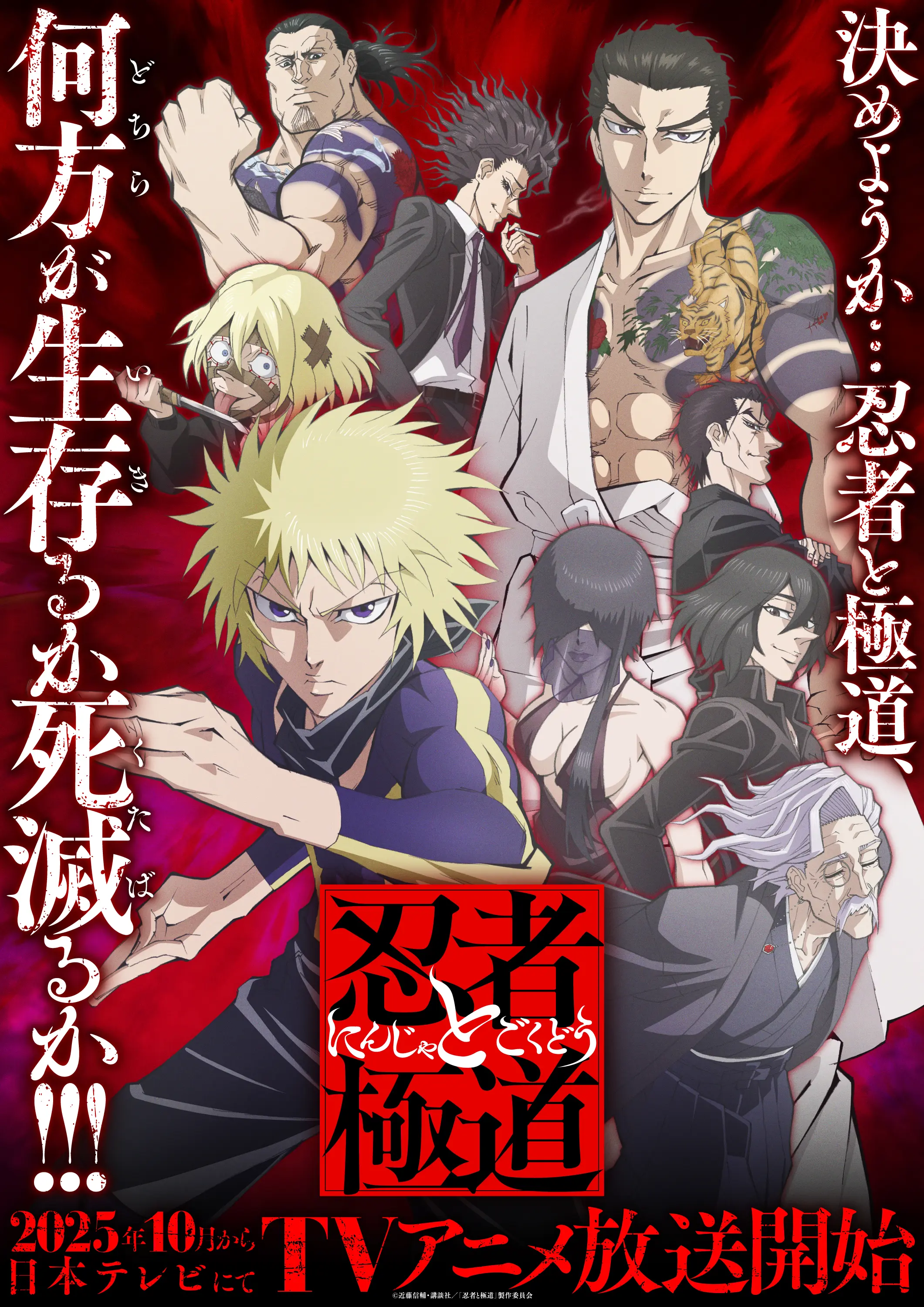 アニメ『忍者と極道』作品情報|あらすじ、配信サービス、出演声優、原作・関連商品 アニメ『忍者と極道』作品情報|あらすじ、配信サービス、出演声優、原作・関連商品